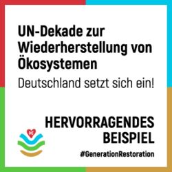 „Hervorragendes Beispiel“ im Rahmen der UN-Dekade zur Wiederherstellung von Ökosystemen